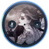 Alchemy Minnaloushe Moon Amazon Echo Skin