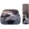 Alchemy Minnaloushe Moon Apple TV Skin