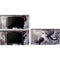 Alchemy Minnaloushe Moon DS Lite Skin