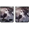 Alchemy Minnaloushe Moon Galaxy Z Flip Skin
