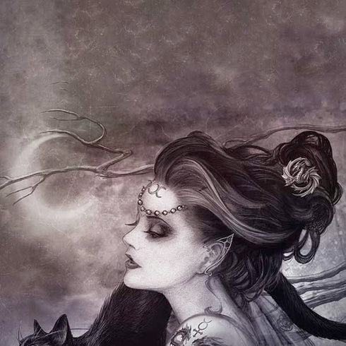 Alchemy Minnaloushe Moon Moto G6 Skin