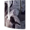 Alchemy Minnaloushe Moon Playstation 3 & PS3 Skin
