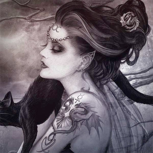 Alchemy Minnaloushe Moon Surface Book 2 13.5in Skin