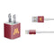 University of Minnesota M Logo iPhone Charger (5W USB) Skin
