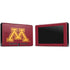 University of Minnesota M Logo Nintendo Switch Bundle Skin