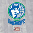 NBA Minnesota Timberwolves Hardwood Classics Nintendo 2DS XL (2017) Skin