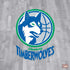 NBA Minnesota Timberwolves Hardwood Classics PS4 Pro Bundle Skin