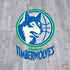 NBA Minnesota Timberwolves Hardwood Classics PS4 Slim Bundle Skin