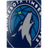 NBA Minnesota Timberwolves Large Logo PS5 Digital Edition Bundle Skin