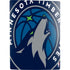 NBA Minnesota Timberwolves Large Logo PS5 Digital Edition Bundle Skin