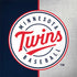 MLB Minnesota Twins Split Surface Book 2 15in Skin