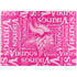 NFL Minnesota Vikings - Blast Pink Surface Laptop 4 15in Skin