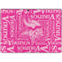 NFL Minnesota Vikings - Blast Pink Surface Pro 9 Skin
