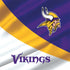 NFL Minnesota Vikings Nintendo 2DS XL (2017) Skin