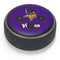 NFL Minnesota Vikings Distressed Amazon Echo Dot Skin
