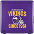 NFL Minnesota Vikings Helmet Cooler Master MasterBox Q300L Mini Tower Skin