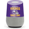 NFL Minnesota Vikings Helmet Google Home Skin