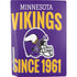 NFL Minnesota Vikings Helmet PS5 Bundle Skin
