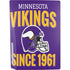 NFL Minnesota Vikings Helmet PS5 Console Skin