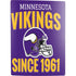 NFL Minnesota Vikings Helmet PS5 Digital Edition Bundle Skin