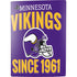 NFL Minnesota Vikings Helmet PS5 Digital Edition Console Skin