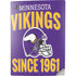 NFL Minnesota Vikings Helmet PS5 Digital Edition Console Skin