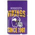 NFL Minnesota Vikings Helmet PS5 Slim Disk Console Skin