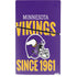 NFL Minnesota Vikings Helmet PS5 Slim Digital Edition Bundle Skin