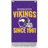 NFL Minnesota Vikings Helmet Xbox Series S Skins