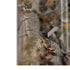 NFL Minnesota Vikings Realtree AP Camo Bose Noise Cancelling Headphones 700 Skin