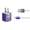 NFL Minnesota Vikings Retro Logo iPhone Charger (5W USB) Skin