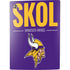 NFL Minnesota Vikings Team Motto PS5 Bundle Skin