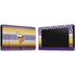 NFL Minnesota Vikings Trailblazer Nintendo Switch Bundle Skin