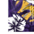NFL Minnesota Vikings Tropical Print Bose Noise Cancelling Headphones 700 Skin