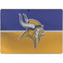 NFL Minnesota Vikings Vintage Surface Pro 9 Skin
