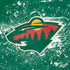 NHL Minnesota Wild Frozen PS4 Slim Skin