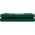 NHL Minnesota Wild Lineup PS4 Console Skin