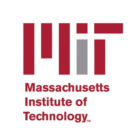 Massachusetts Institute of Technology MIT Logo Nintendo 2DS XL (2017) Skin