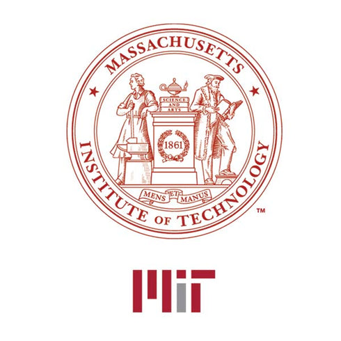 Massachusetts Institute of Technology MIT White Logo Nintendo 2DS XL (2017) Skin