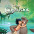 Disney Jungle Book Mogli and Baloo Otterbox Commuter Galaxy Skin