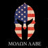 Molon Labe PS4 Controller Skin