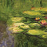 Claude Monet Waterlilies iPhone XR Skin