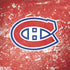 NHL Montreal Canadiens Frozen Surface Book 2 13.5in Skin