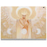 LA Williams Moon Angel Surface Book 2 15in Skin