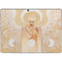 LA Williams Moon Angel Surface Pro 9 Skin