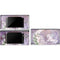 Laurie Prindle Moon Unicorn DS Lite Skin