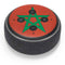Morocco Flag Distressed Amazon Echo Dot Skin