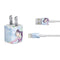 Disney Mulan In Training iPhone Charger (5W USB) Skin