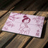 Disney Mulan Character Art Surface Pro 7 Skin