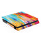 Etta Vee Multicolor Brush Stroke PS4 Slim Skin